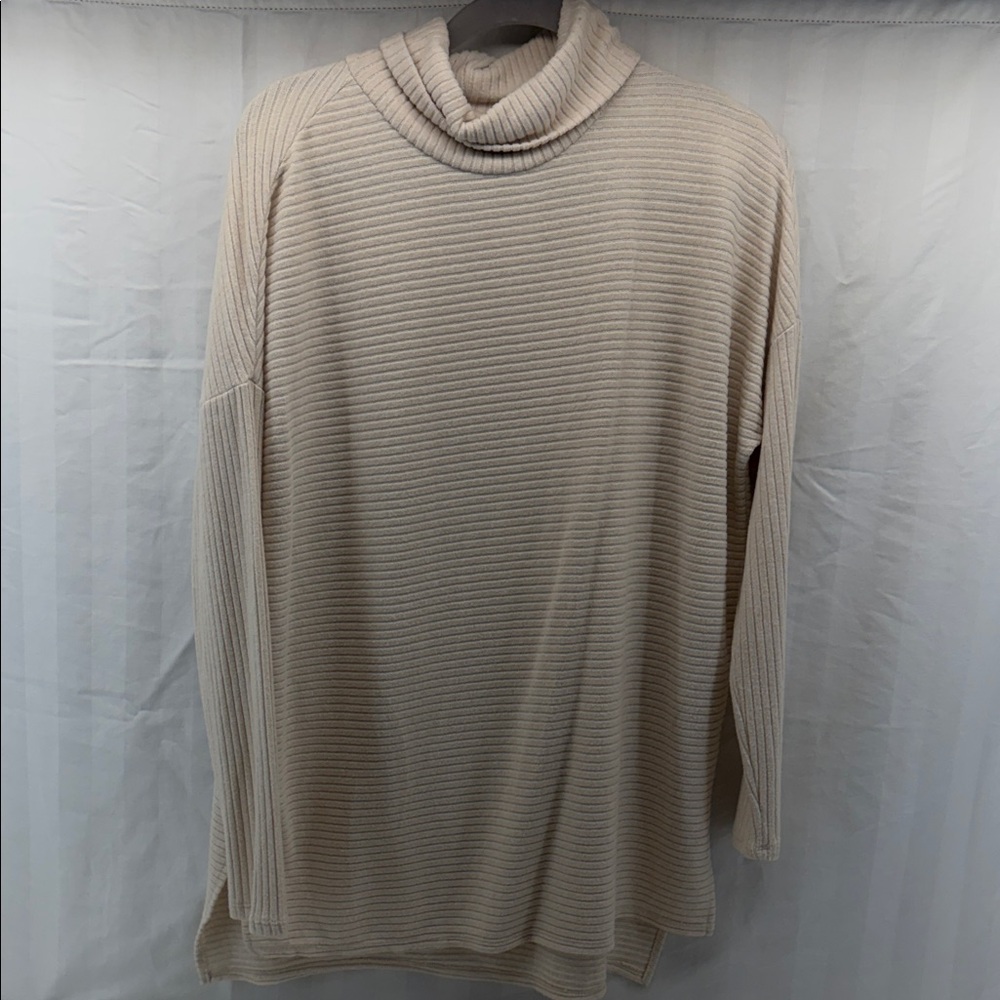 Time and‎ Tru Beige Turtleneck Sweater